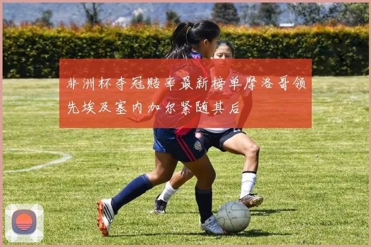 非洲杯夺冠赔率最新榜单摩洛哥领先埃及塞内加尔紧随其后