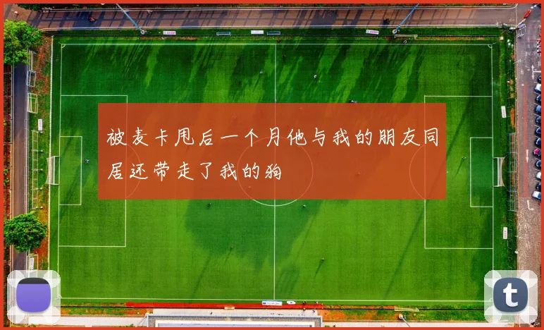 被麦卡甩后一个月他与我的朋友同居还带走了我的狗