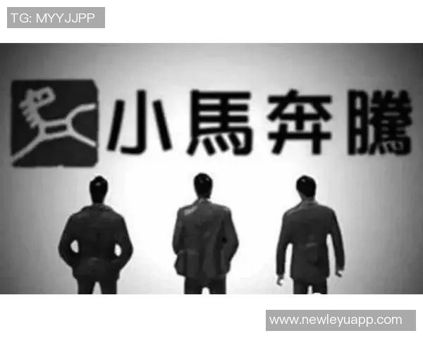 中赫九年投资八十亿背后的民营企业债务危机与挑战